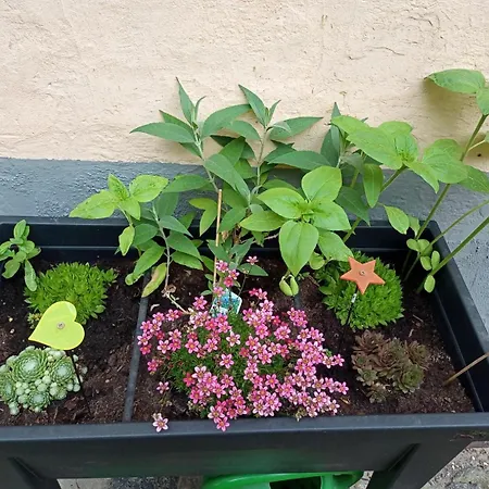 Vakantiehuis Maler Muellers Einfamilienhaus *