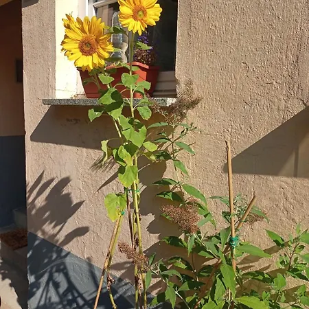 Maler Muellers Einfamilienhaus Quedlinburg